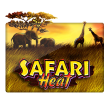 Safari Heat Joker123 Ufabet2233
