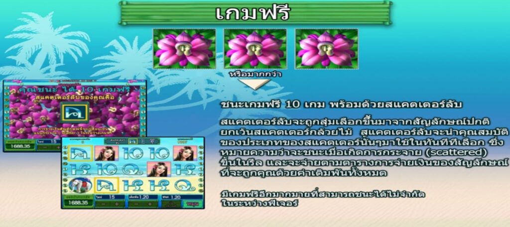 Thai Paradise Play8 Ufabet2233 ทดลองเล่น